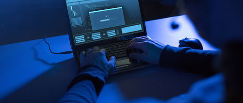 计算机科学与技术 vs 软件工程 解析专业差异与网络及软件开发的联系